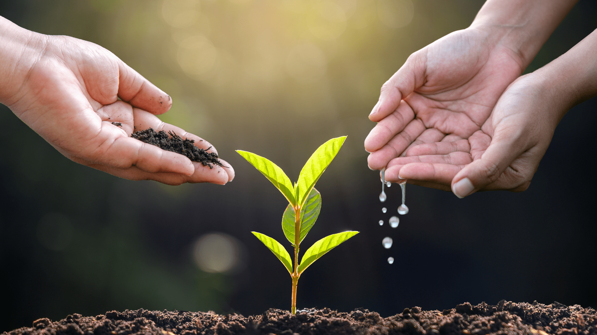 Design sans titre – 2026-01-06T122313.003-min