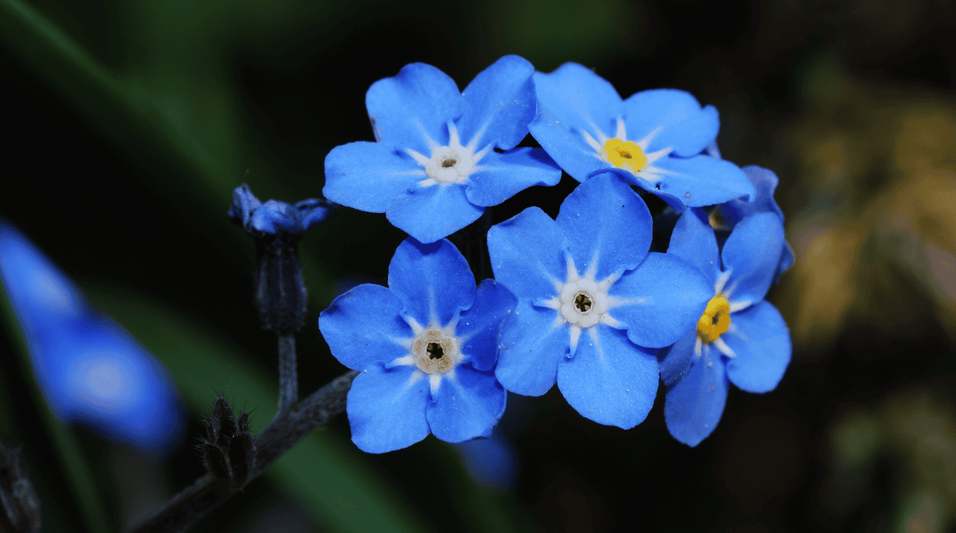 Design sans titre – 2026-01-22T113143.661 (1)