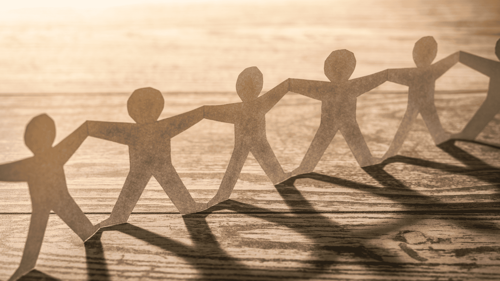 Design sans titre – 2026-02-15T084508.005 (1)