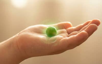 Le petit pois … vert … ( Dans la nuit du 1er au 2 mars 2025 )