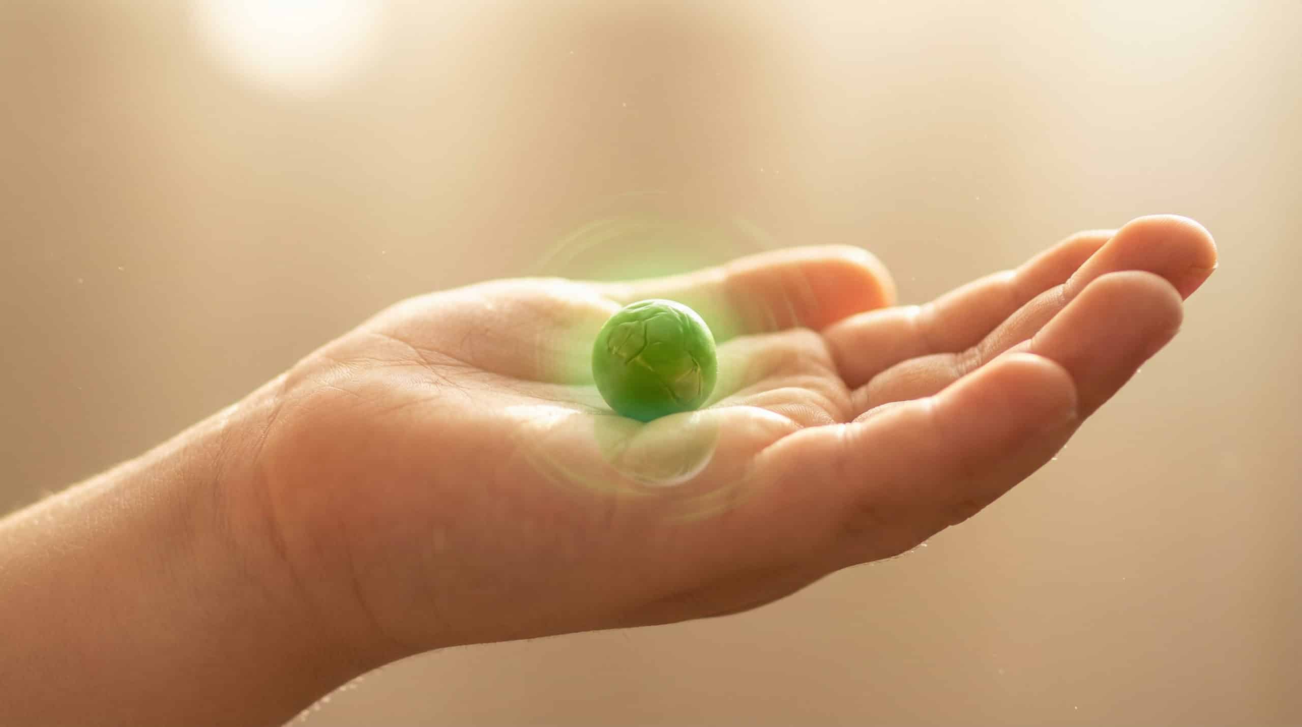 hf_20260303_182025_e42d166b-f149-4945-af78-5c5e66309828 (1)