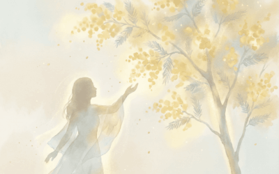 Enseignement du Mimosa – Matin du 26 mars